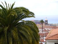 P1030071  La Orotava